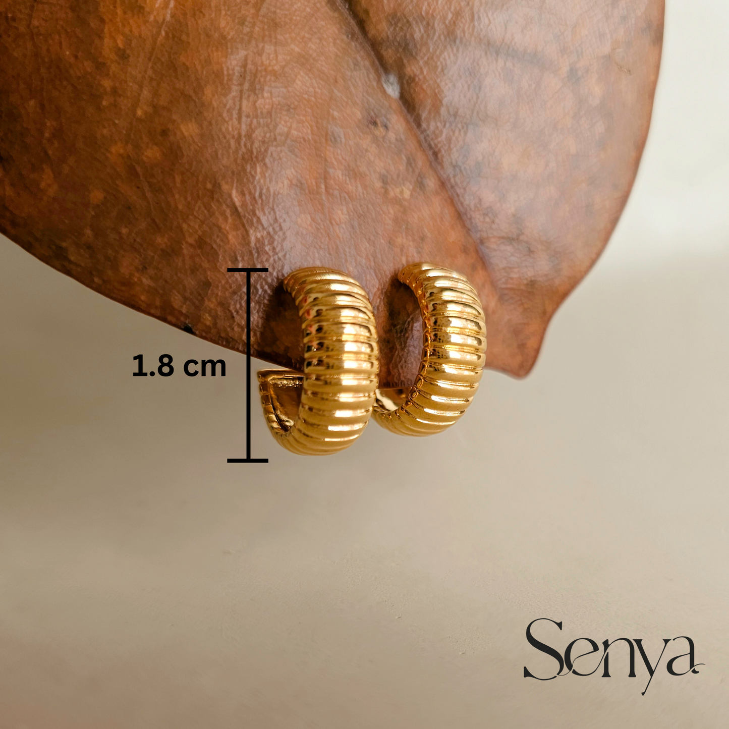 Stainless Steel Line Hoop Earrings,
Stainless Steel Lined Hoop Earrings,
Stainless Steel Striped Hoop Earrings,
Stainless Steel Grooved Hoop Earrings,
Stainless Steel Parallel Line Hoop Earrings,
Stainless Steel Textured Line Hoops,
Small Stainless Steel Line Hoops,
Large Stainless Steel Line Hoops,
Dainty Stainless Steel Line Hoops,
Chunky Stainless Steel Line Hoops,
Thin Stainless Steel Line Hoops,
Striped Stainless Steel Hoops,
Vertical Line Hoop Earrings Stainless Steel,