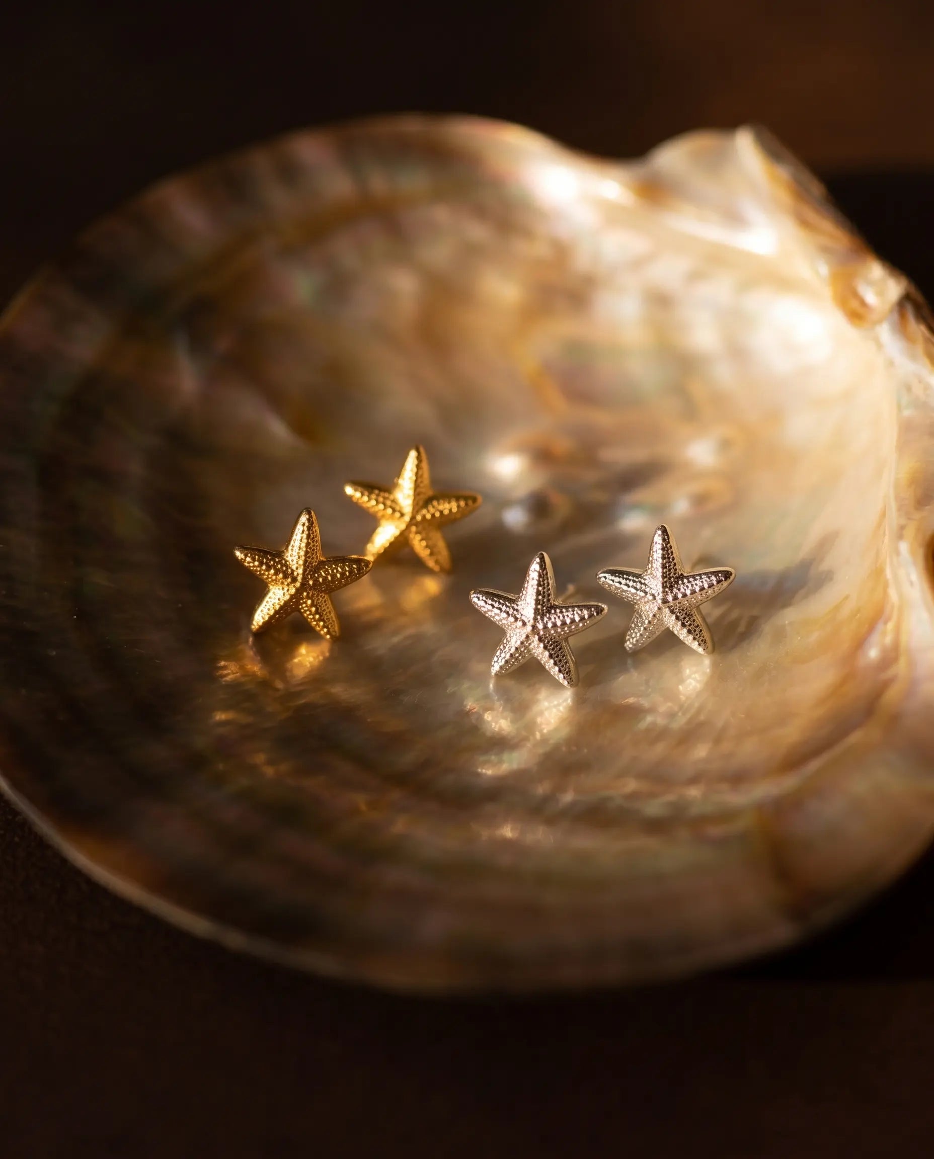 marisol-starfish-studs-displayed-on-mother-of-pearl-shell-highlighting-the-organic-design-and-stainless-steel-quality