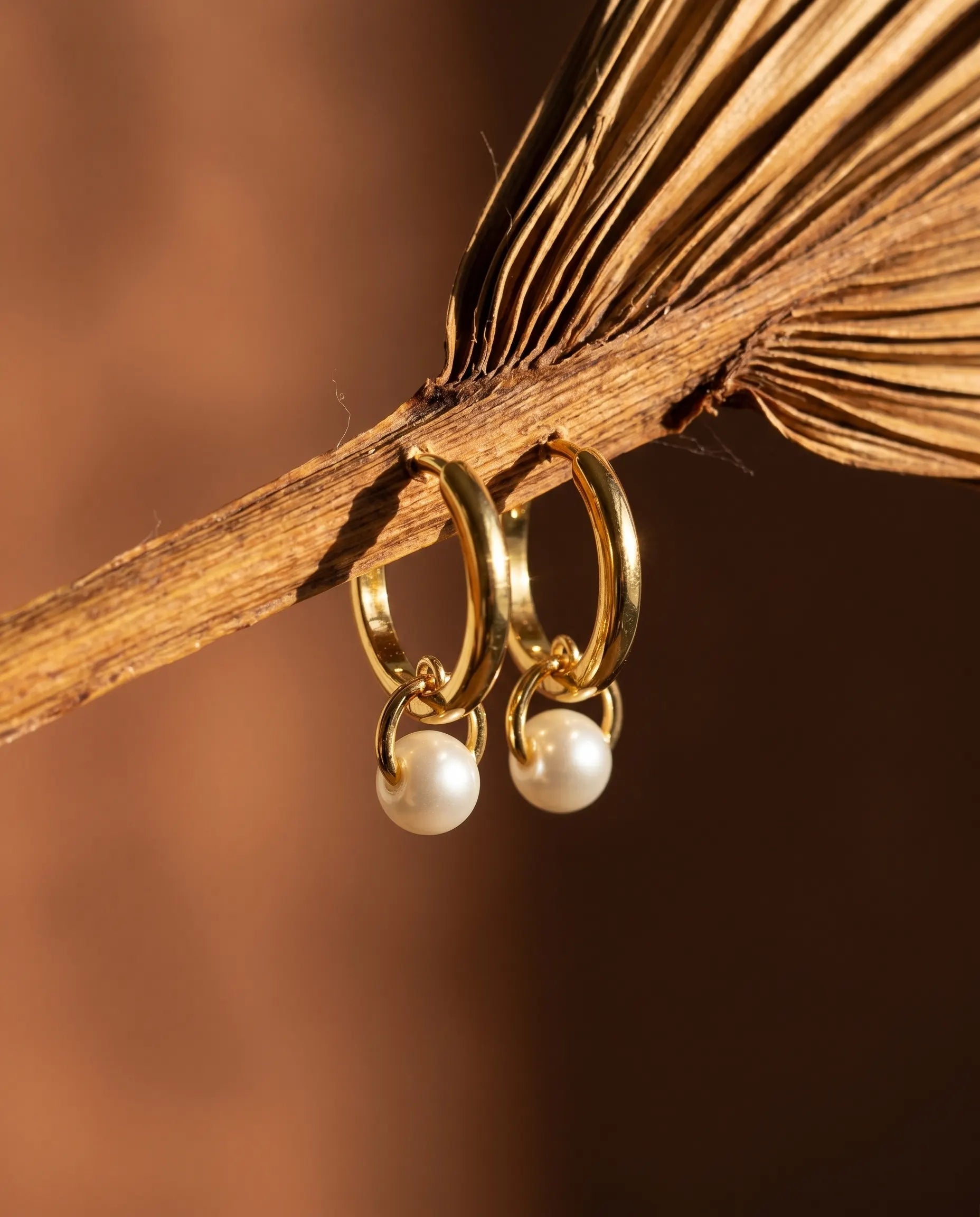 palma-pearl-drop-huggie-hoops-displayed-with-natural-elements-minimalist-jewelry-photography-for-senya