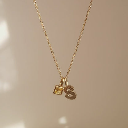 Amber Necklace